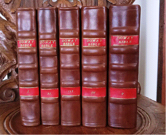 A row of leather books with red labels

Description automatically generated