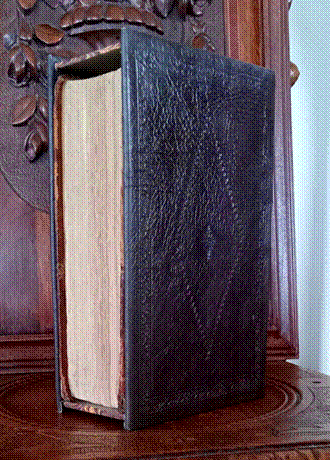 A book on a shelf
Description automatically generated